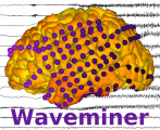 Waveminer Logo