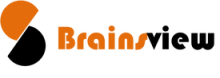 BrainsView Logo